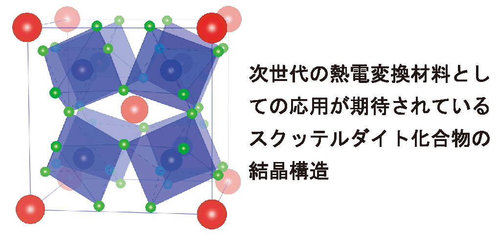 研究紹介