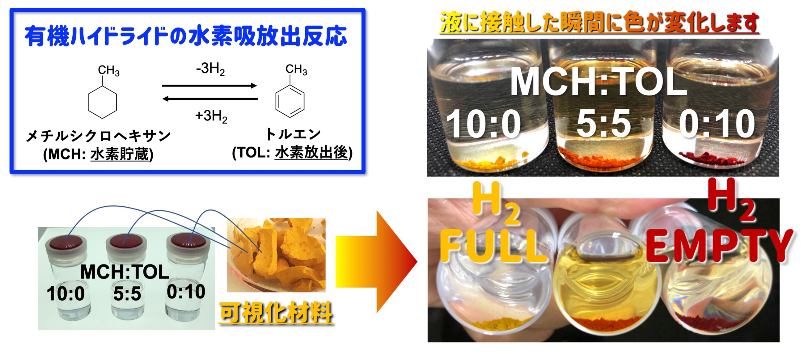 研究紹介