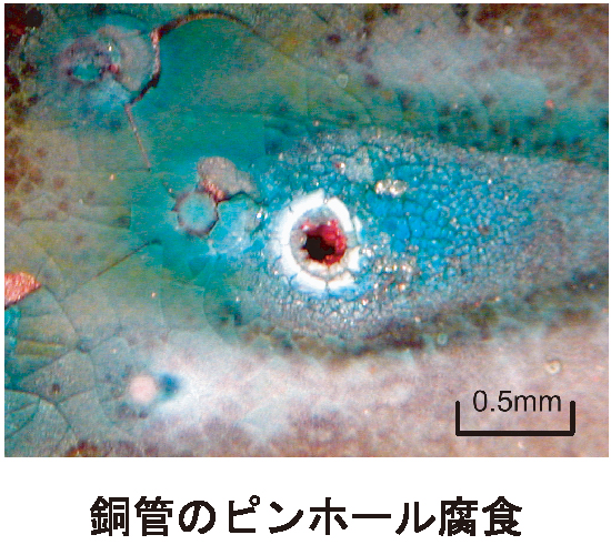 研究紹介