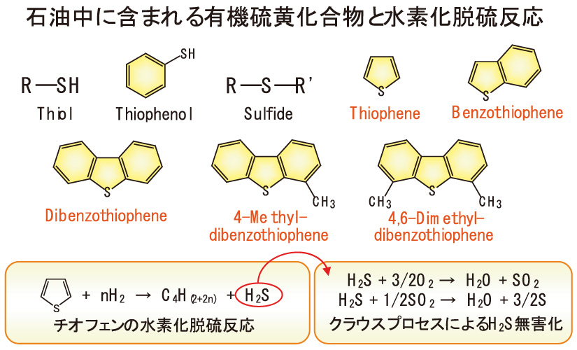 研究紹介