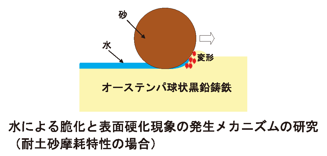 研究紹介