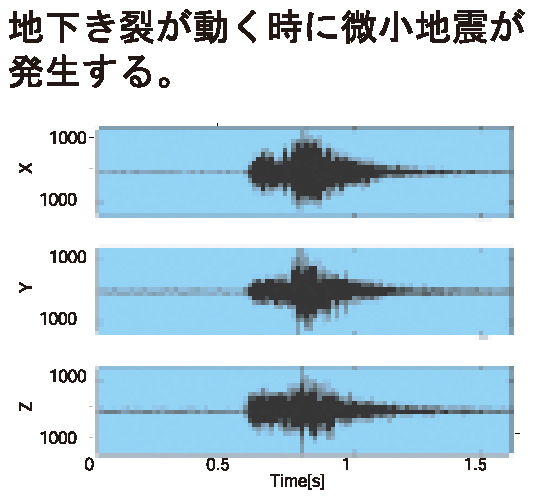 研究紹介